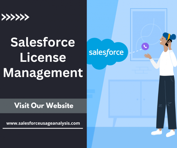 Best Salesforce License Management – Salesforce Usage Analysis