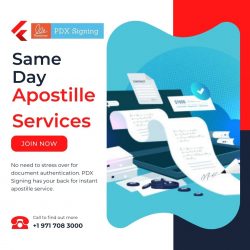 Same day apostille service