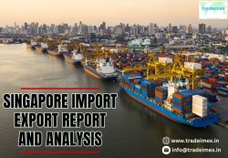 Which Countries Does Singapore Import Most From?