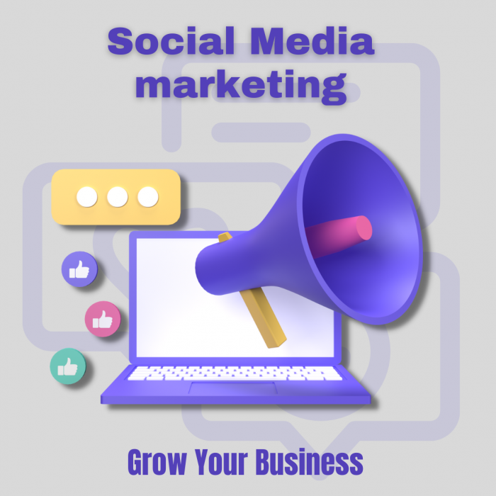 Revolutionize Your Online Presence with Our Expert Social Media Marketing Solutions