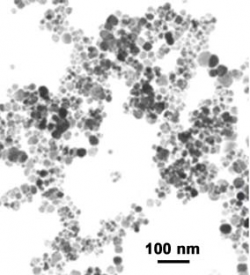 Iron Oxide Nanopowder / Nanoparticles (Fe3O4) 98%, 20~30nm