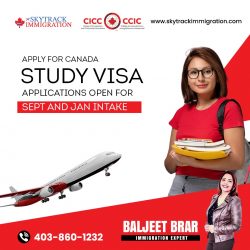 Study Visa in Calgary NE – Skytrack Immigration
