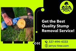 Grind Your Stubborn Stumps with Our Experts!