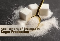 Applications Of Enzymes in Sugar Production – Ultreze Enzymes