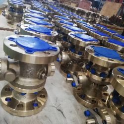 Swing Check Valve Supplier in Columbia