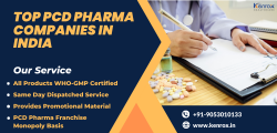 List of Top 10 Pharma Franchise Companies In India