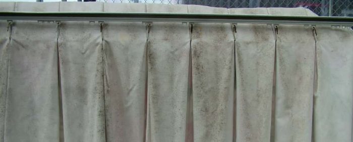 Excellent Service For Curtain Mould Removal In Perth