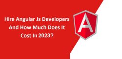 How Much Does it Cost to Hire AngularJS Developers?
