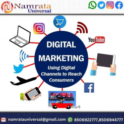 Digital Marketing company in Noida