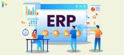 ERP Software Development Companies in India