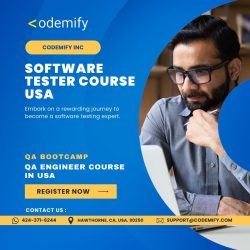 Master the Art of Quality Assurance with a Software Tester Course USA