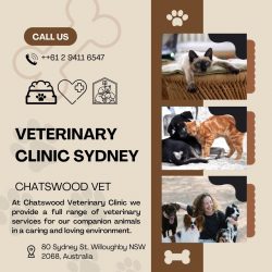 Vet Clinic Sydney