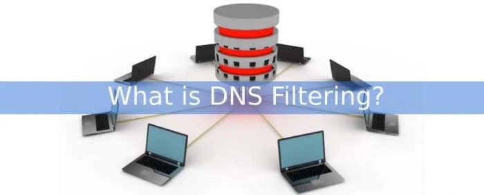 What is DNS Filtering? What does DNS stand for?