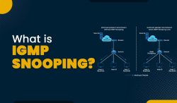 What is IGMP Snooping?