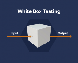 White Box Testing | Embarcadero