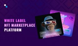 White Label NFT Marketplace Platform: The Fastest and Most Efficient Way to Launch Your Own NFT  ...