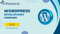 The Impact of a WordPress Development Agency – Info Stans