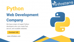 How to Choose the Right Python Web Development Company
