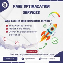 PAGE OPTIMIZATION SERVICES