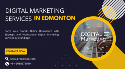 Digital Marketing Services in Edmonton