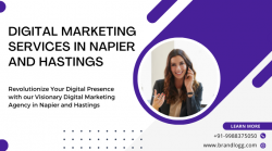 Digital Marketing Services in Napier and Hastings