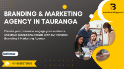 Branding & Marketing Agency in Tauranga