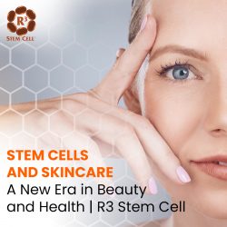 Stem Cells and Skincare: A New Era in Beauty and Health | R3 Stem Cell