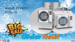 Mastering Preservation: Wave’s Advanced Freeze Drying Solutions