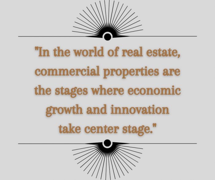 Adnan Vadria: Unveiling the Economic Potential of Commercial Properties