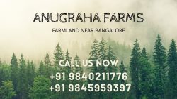 Cultivate Your Dreams: Explore Farm Land for Sale in Hosur at Anugraha Farms.