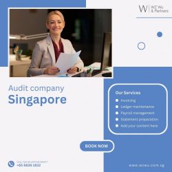 Know what Singapore Best Audit Company