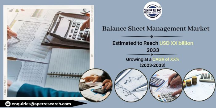 Balance Sheet Management Market Growth-Industry Share-Size, Emerging Trends, Future Opportunitie ...