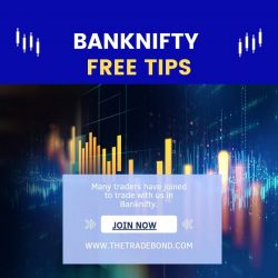 Unlock success in Bank Nifty trading with our expert tips. Discover the strategies, insights, an ...