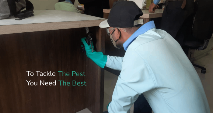 Ankita Pest Control: Delivering the Best Pest Control Services in Mumbai