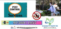 Eradicate Pest Problems with the Best Pest Control Company in Navi Mumbai