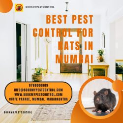 BEST PEST CONTROL FOR RATS IN MUMBAI