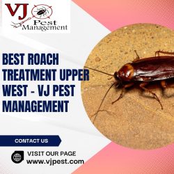 Best Roach Treatment Upper westside – VJ Pest Management