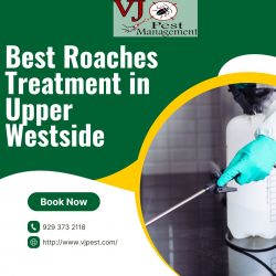 Best Roaches Treatment in Upper Westside