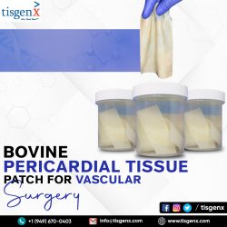 Bovine Pericardial Tissue Patch for Vascular Surgery