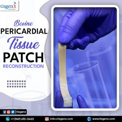 Bovine Pericardial Tissue Patch Reconstruction