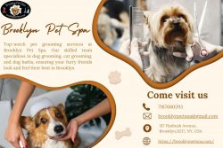 Your Premier Destination for Pet Grooming in Brooklyn