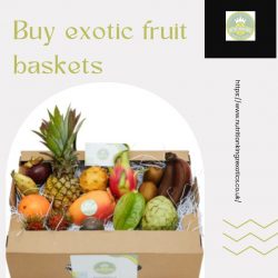 Exotic Fruit Baskets at NutritionKingzExotics