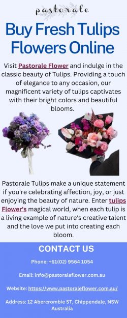 Buy Fresh Tulips Flowers Online