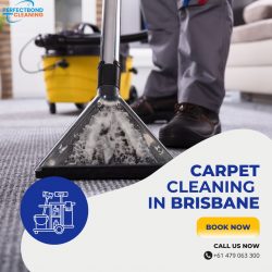 Refresh Your Area with Professional Brisbane Carpet Cleaning