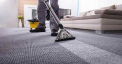 Your Trusted Partners Carpet Cleaning Services in Australia