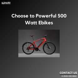 Choose to Powerful 500 Watt Ebikes