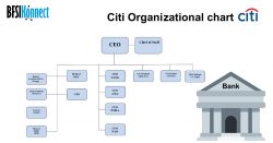 Citigroup Org Charts