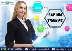 Comprehensive SAP MM Training at ShapeMySkills
