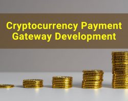 Crypto Payment Gateway Development