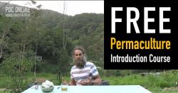 Typical Content and Structure of Permaculture Courses Near Me
